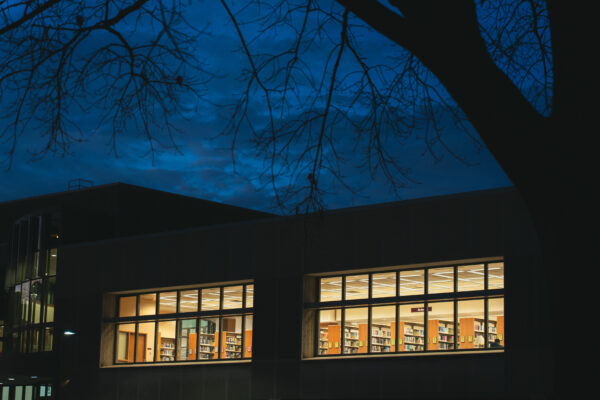 Card: Library at Night